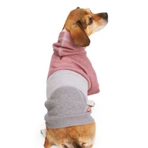 Burgundy Colorblocked Dog Hoodie from Reddy